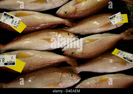 L'Honolulu asta del pesce e il mercato a Pier 38 Foto Stock