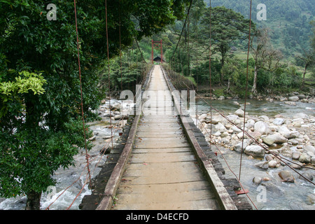 Ponte di Sapa regione nel Nord Vietnam, Vietnam, Indocina, Asia sud-orientale, Asia Foto Stock