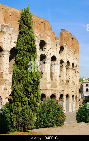 Rom Kolosseum - Rom Colosseo 01 Foto Stock