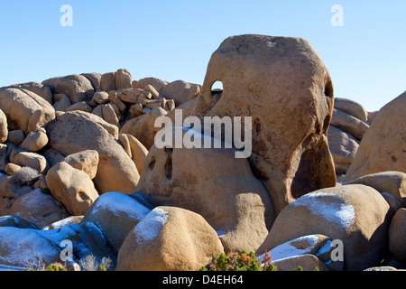 Singolare ed unica roccia di granito vicino a formazioni di roccia del cranio nel Parco nazionale di Joshua Tree, California USA nel mese di gennaio Foto Stock