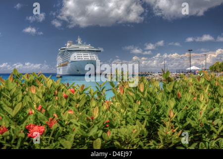 La foto è stata scattata in St. Croix, USVI Foto Stock