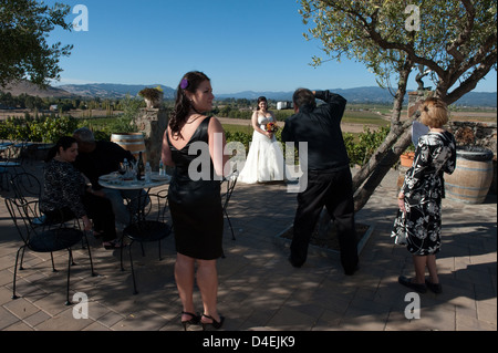 A Sonoma, USA, Wedding photography presso la tenuta di una cantina nella Napa Valley Foto Stock