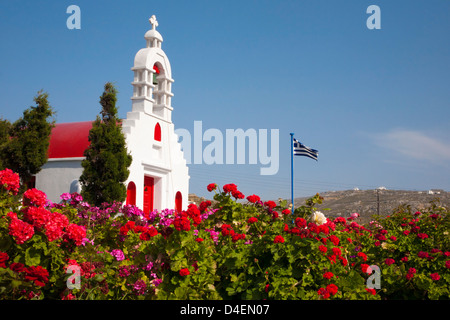 Piccola cappella greca con campanile e bandiera greca circondata da giardino con gerani nella campagna dell'isola di Mykonos in primavera Foto Stock