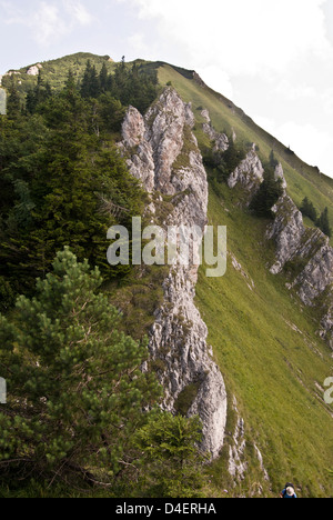 Suchy hill in mala Krivanska Fatra montagne in Slovacchia con rocce calcaree, ripida montagna prato e cielo blu con nuvole durante l'estate Foto Stock