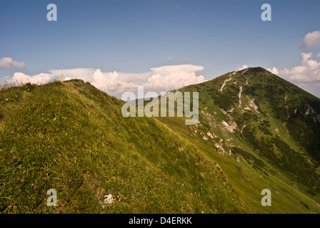 E pekelnik Velky Krivan colline in estate krivanska Mala Fatra mountain range in Slovacchia Foto Stock