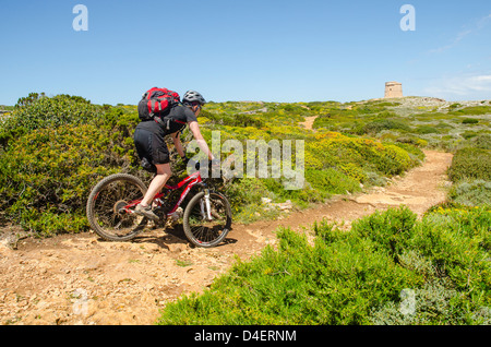 Mountain Biker avvicina sulla Torre d' Alcalfar sul Cami de Cavalls sentiero costiero a Minorca nelle Isole Baleari, Spagna Foto Stock