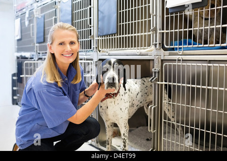 Vet collocando un cane in canile Foto Stock