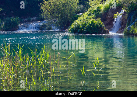 Bella estate cascate e lago con le canne nel Parco Nazionale dei Laghi di Plitvice (Croazia) Foto Stock