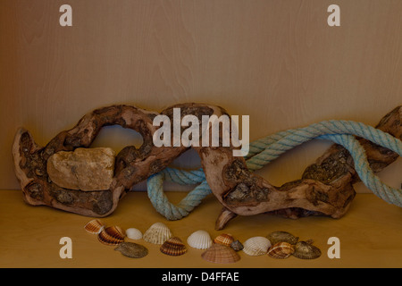 Driftwood root con pietra,corda e conchiglie di mare Foto Stock