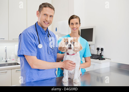 I veterinari esaminando un cane in vet chirurgia dell Foto Stock