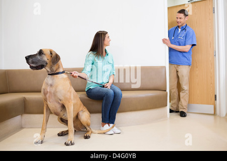 Veterinario chiamando il proprietario e il cane nel vet chirurgia dell Foto Stock