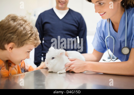 Veterinario e proprietario esaminando coniglio in vet chirurgia dell Foto Stock