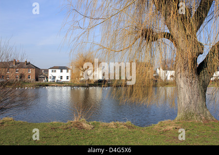West End Pond Esher, Surrey in Inghilterra REGNO UNITO Foto Stock