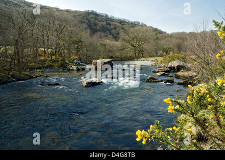 Fiume Glaslyn, Beddgelert, Snowdonia, Gwynedd, il Galles del Nord. Foto Stock