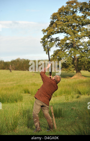 Uomo fagiani di ripresa Foto Stock