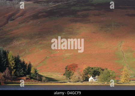 Pendio soleggiato a St Marys Loch, Superiore Yarrow Valley, frontiere, Scotland, Regno Unito Foto Stock