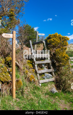 Siepe, Parco Nazionale di Dartmoor, Chagford, Devon, Regno Unito, Europa. Foto Stock