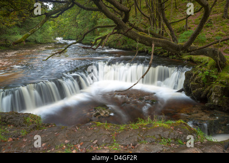 Il Nedd Fechan River a Horseshoe Falls, Parco Nazionale di Brecon Beacons, DI MID GLAMORGAN, GALLES, Regno Unito, Europa. Foto Stock