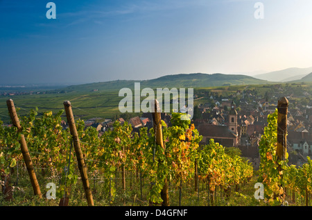 Vigneti Riquewihr & villaggio colori autunnali nei vigneti di Schoenenbourg sopra il borgo medievale di Riquewihr Route des Vins Alsace Francia Foto Stock