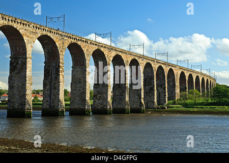 Royal confine viadotto ferroviario (1850) e il fiume Tweed, Berwick-upon-Tweed, England, Regno Unito Foto Stock