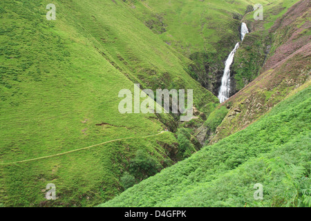 Grigio coda Mares cascata, Moffatdale, Dumfries & Galloway, Scotland, Regno Unito Foto Stock