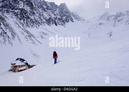 Femmina alpinista di sci discesa verso l'Westfalenhaus (2273 m). Tirol, Alpi dello Stubai, Austria. Vista su Langentaler Ferner (glacier) Foto Stock