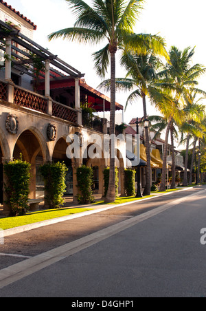 Il palm strada alberata di Worth Avenue, West Pam Beach Florida Foto Stock