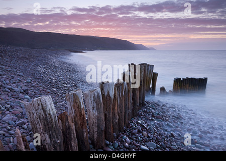 Groyne in legno sulla spiaggia Bossington, Exmoor, Somerset. Inverno (Marzo) 2012. Foto Stock