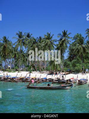 Ton Sai Bay Beach, Koh Phi Phi Don e Phi Phi Island, Provincia di Krabi, Thailandia Foto Stock