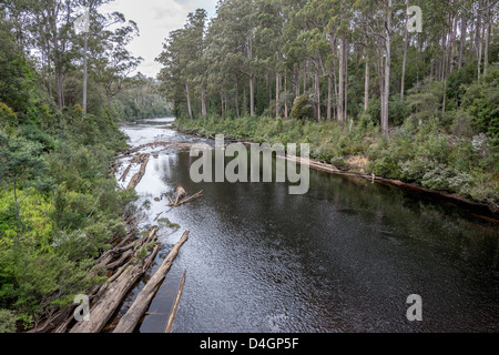Lo spettacolare fiume Huon si snoda attraverso la foresta di Tahune vicino a Geeveston, Tasmania, Australia. Foto Stock