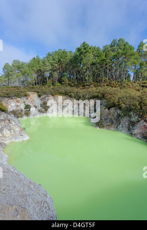 Devil's bagno, Waiotapu zona termale, Rotorua, Isola del nord, Nuova Zelanda Foto Stock