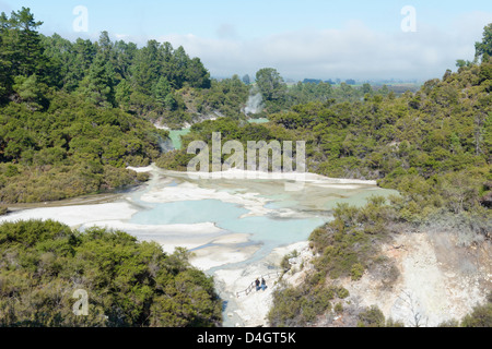 Waiotapu zona termale, Rotorua, Isola del nord, Nuova Zelanda Foto Stock