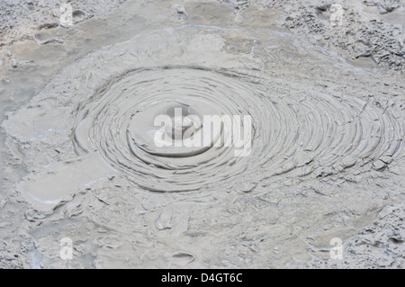 Pozze di fango, Waiotapu zona termale, Rotorua, Isola del nord, Nuova Zelanda Foto Stock