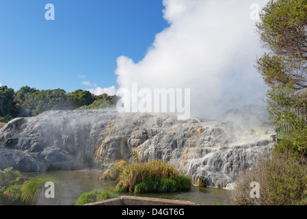 Pohutu Geyser e il Principe di Galles Geyser, Rotorua, Isola del nord, Nuova Zelanda Foto Stock