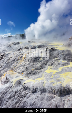 Pohutu Geyser e il Principe di Galles Geyser, Rotorua, Isola del nord, Nuova Zelanda Foto Stock