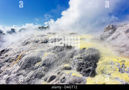 Pohutu Geyser e il Principe di Galles Geyser, Rotorua, Isola del nord, Nuova Zelanda Foto Stock