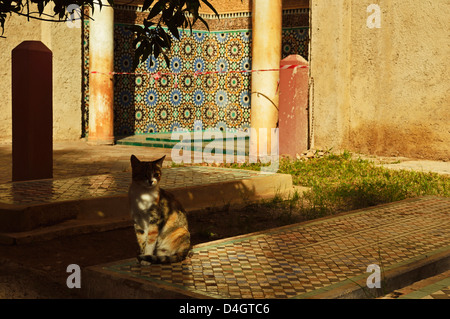 Tombe Saadiane, Medina, Marrakech, Marocco, Africa del Nord Foto Stock