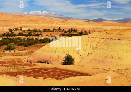 Vista dell'Alto Atlante, Ait-Benhaddou, Marocco, Africa del Nord Foto Stock