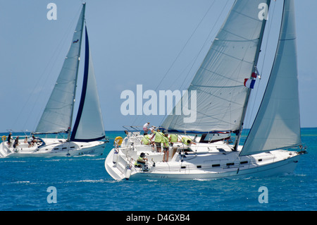 Barca a vela regate. Isole Vergini Britanniche, West Indies, dei Caraibi Foto Stock