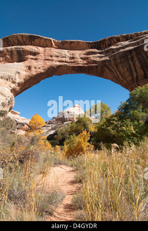 Ponti naturali monumento nazionale, Utah, Stati Uniti d'America Foto Stock