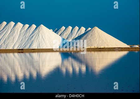 Pianure di soluzione salina, una miniera di sale in Bonaire, ABC, isole Antille Olandesi, dei Caraibi Foto Stock