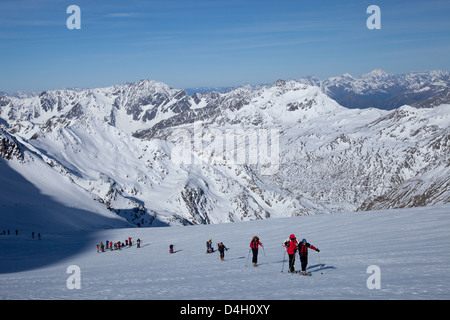 Sci alpinismo nelle Alpi, Salita a Punta San Matteo, sul confine di Lombardia e Trentino Alto Adige, Italia Foto Stock