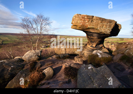 I Druidi Scrivania a Brimham rocce vicino Summerbridge in Nidderdale, North Yorkshire, Yorkshire, Inghilterra, Regno Unito Foto Stock