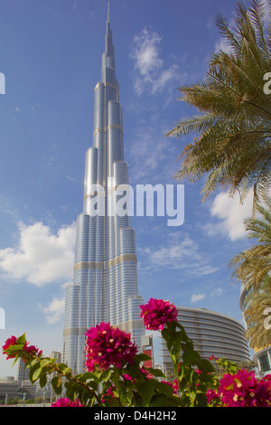 Il Burj Khalifa, più alte del mondo edificio, Dubai, Emirati Arabi Uniti, Medio Oriente Foto Stock