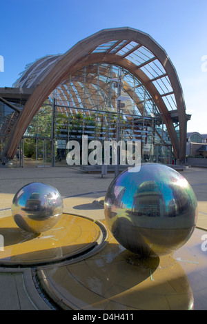 Winter Gardens, Sheffield South Yorkshire, Yorkshire, Inghilterra, Regno Unito Foto Stock