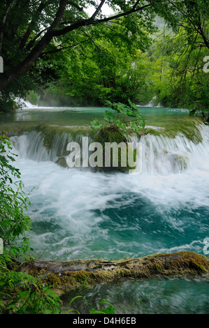 Milke Trnine cascata sovrastato da alberi al Parco Nazionale dei Laghi di Plitvice, patrimonio mondiale dell UNESCO, Croazia Foto Stock