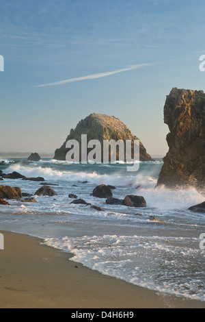 McClure's Beach, Point Reyes National Seashore, Marin County, California, Stati Uniti d'America; spiaggia, surf e mare pile, tardo pomeriggio Foto Stock