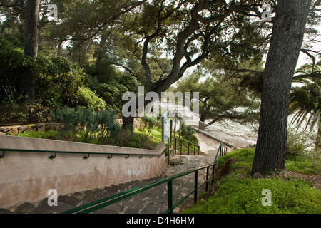 Le Rayol : (Var, Francia) Foto Stock