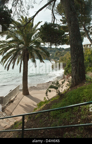 Le Rayol : (Var, Francia) Foto Stock