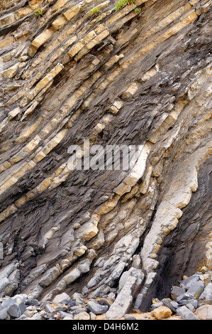 Strati ripiegati di Jurassic rocce sedimentarie calcaree e marne rocce in scogliere a Vega beach, Ribadesella, Asturias, Spagna Foto Stock